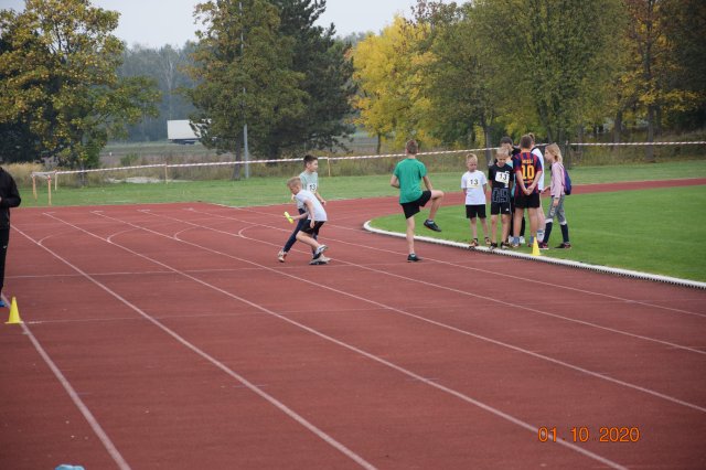 biegip 14